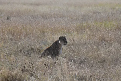 DSC_3909 (Large).JPG